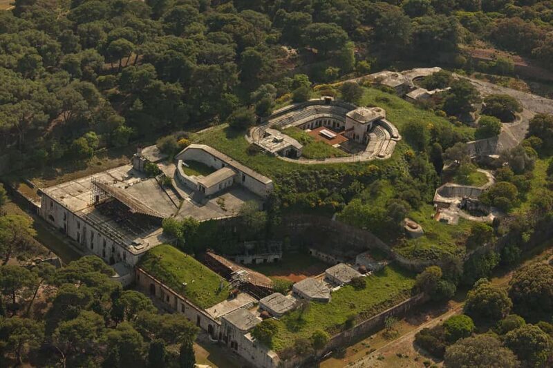 From Pula: Half-day NP Brijuni cruise with Lunch & Swimming - Final Thoughts: Who Should Book This Experience?