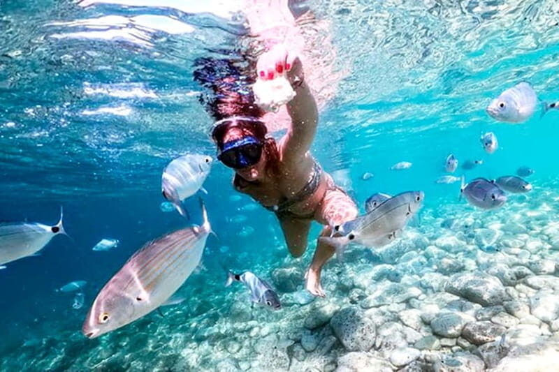 From Pula: Island Stop and National Park Day Cruise - Key Points