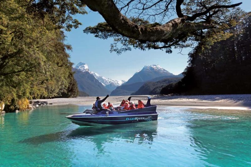 From Queenstown: Dart River Wilderness Jet Boat Experience - An Adventure in the Heart of the South Island