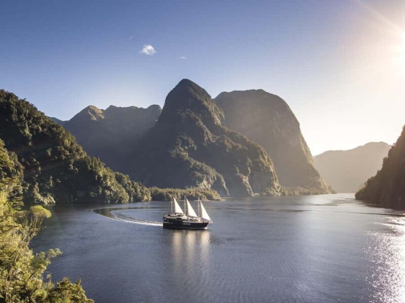 From Queenstown: Doubtful Sound Wilderness Day Trip - Pricing and Value