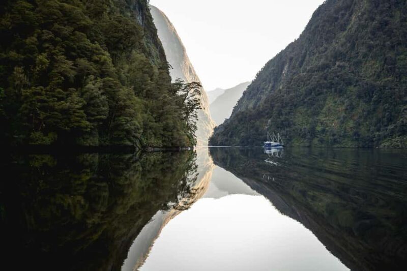 From Queenstown: Doubtful Sound Wilderness Day Trip - The Experience in Practice: What You Can Expect
