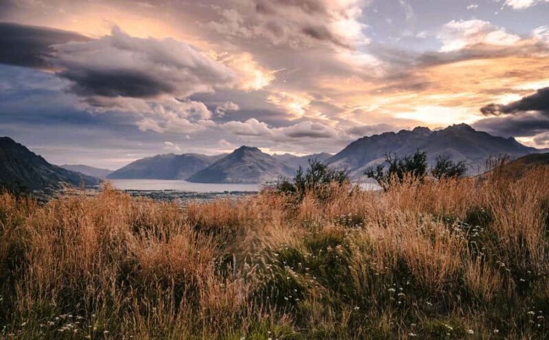 From Queenstown - Half Day Personalised Photography Tour - Comfort, Convenience, and Overall Experience