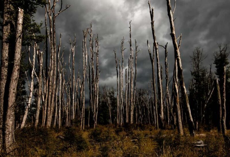 From Queenstown: Lord Of The Rings Tour to Glenorchy - FAQ