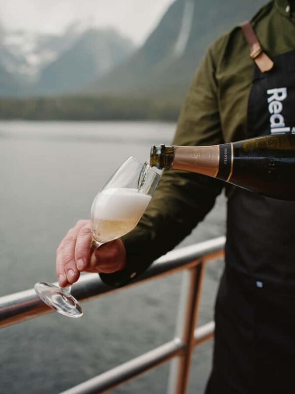 From Queenstown: Milford Sound Business Class with Cruise - Who Should Consider This Tour?