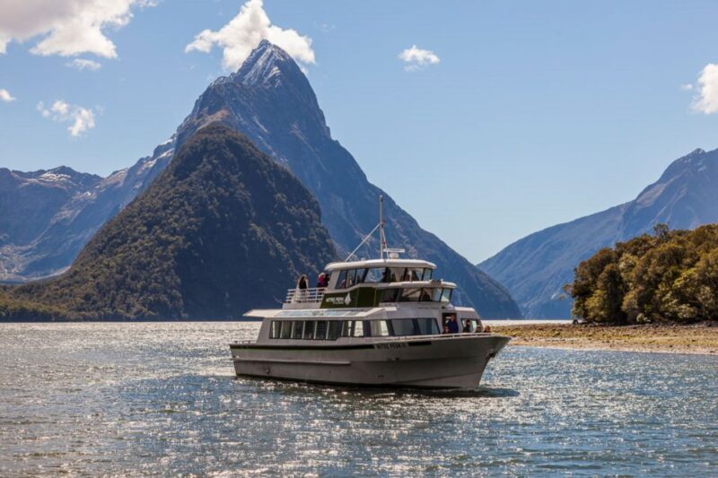From Queenstown: Milford Sound Cruise and Scenic Drive - The Sum Up