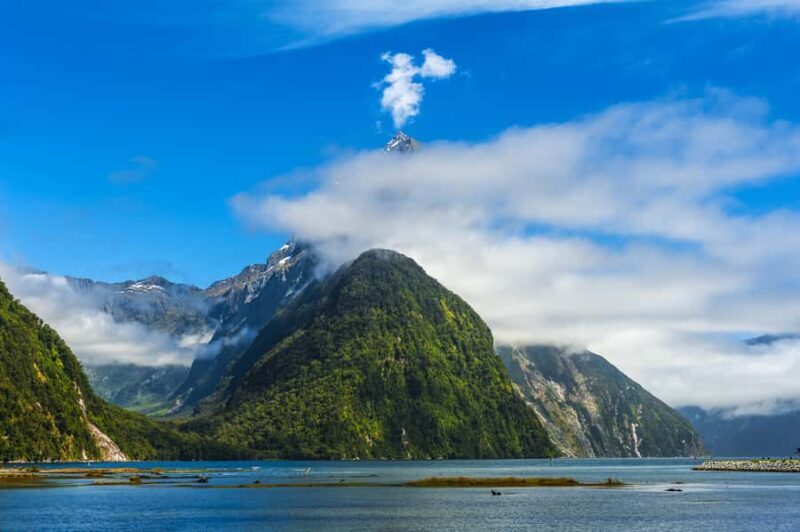 From Queenstown Milford Sound Cruise & Glass-Roof Coach Tour - Key Points