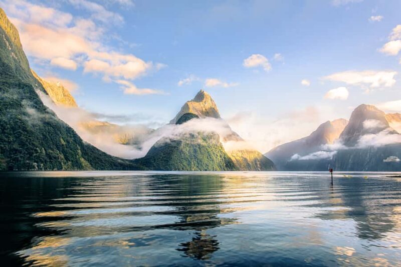 From Queenstown: Milford Sound Premium Day Tour and Cruise - The Journey Begins: From Queenstown to Milford Sound