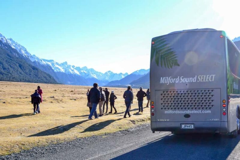 From Queenstown: Milford Sound Premium Day Tour and Cruise - Scenic Stops En Route: Mirror Lakes and Rainforest Walks