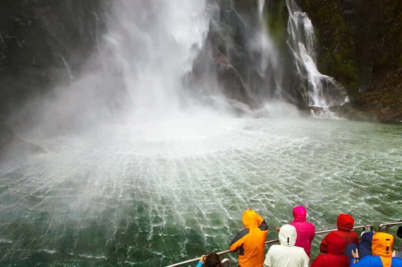 From Queenstown: Milford Sound Premium Day Tour and Cruise - Wildlife and Wild Waters