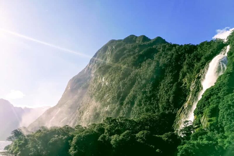 From Queenstown: Milford Sound Premium Day Tour and Cruise - Final Thoughts: Is This Tour Right for You?