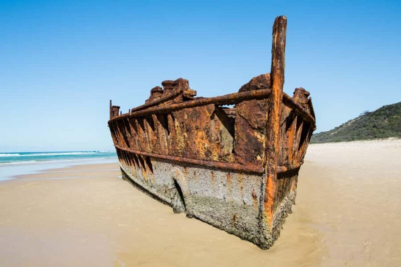 From Rainbow Beach: K'gari Fraser Island Full-Day Coach Tour - An In-Depth Look at the Fraser Island Full-Day Coach Experience