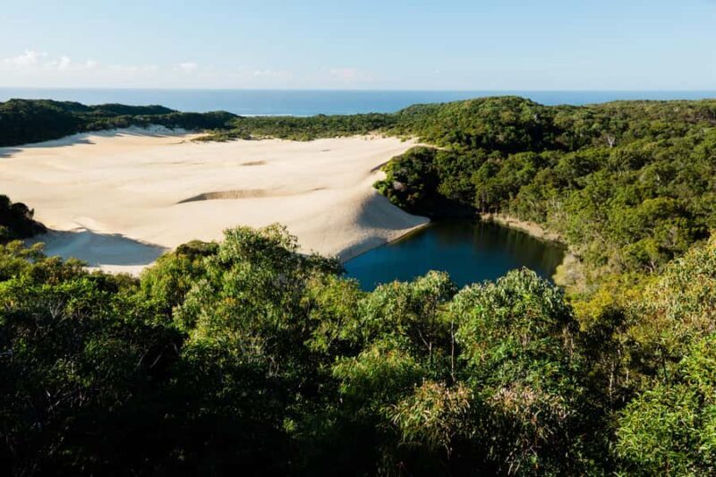 From Rainbow Beach: K'gari, Fraser Island Two-Day Coach Tour - Introduction: A Balanced Look at the Fraser Island Adventure
