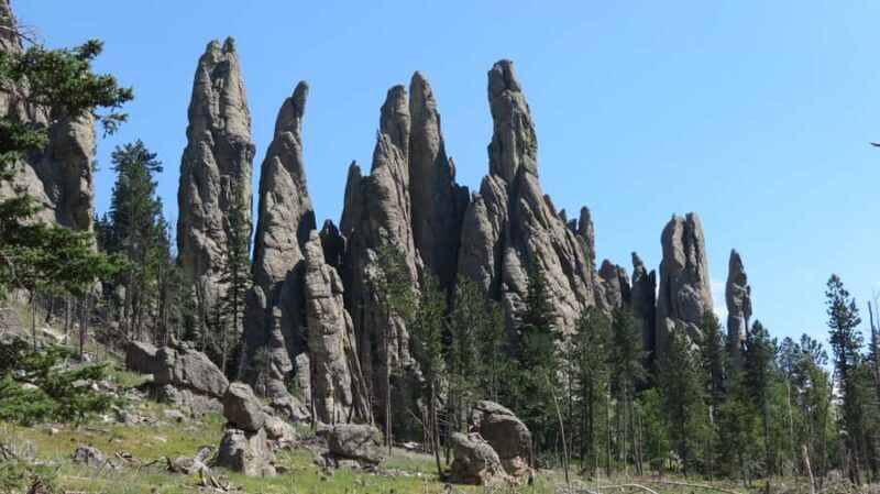 From Rapid City: Custer State Park and Needles Highway Tour - A Detailed Look at the Tour Experience