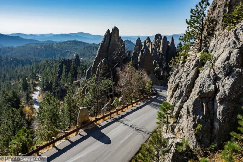 From Rapid City: Custer State Park and Needles Highway Tour - What to Expect and Tips for Travelers