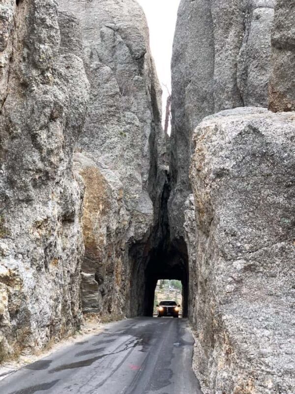 From Rapid City: Custer State Park and Needles Highway Tour - Authentic Perspectives from Other Travelers