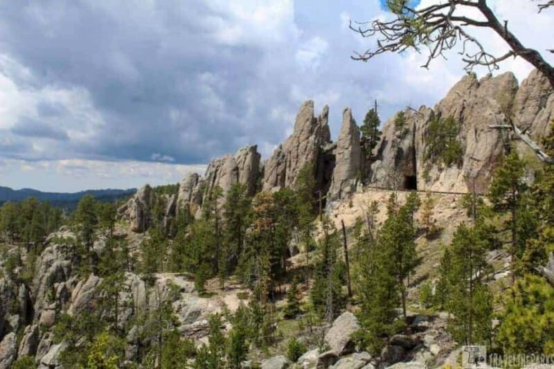 From Rapid City: Custer State Park and Needles Highway Tour - The Sum Up: Who is This Tour Perfect For?