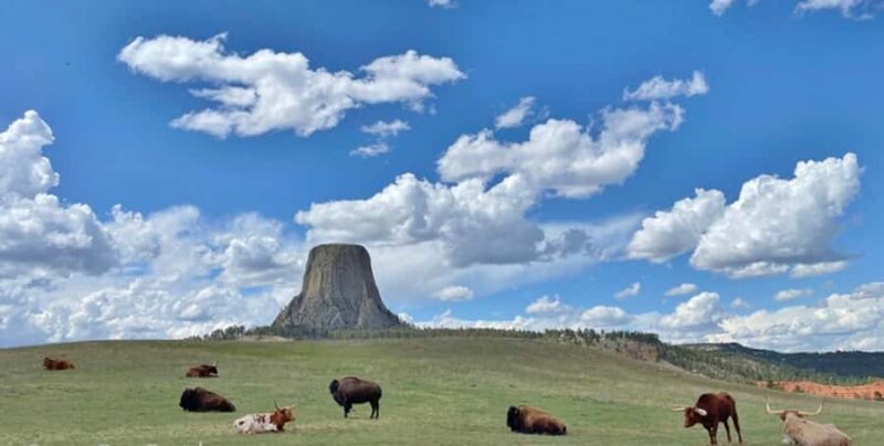 From Rapid City: Devils Tower National Monument Day Trip - FAQs