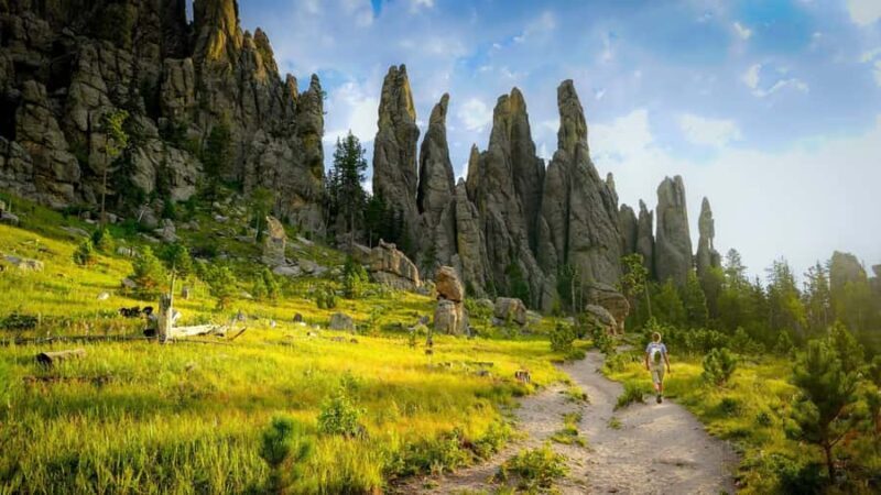 From Rapid City: Mt Rushmore-Crazy Horse-CSP Wildlife Loop - An Overview of What You’ll Experience