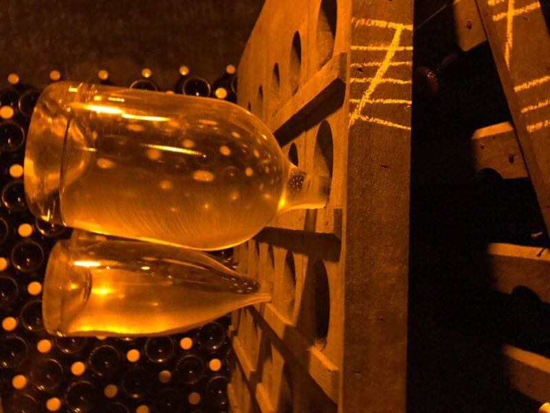 From Reims/Epernay: Champagne half-day tour (small group) - Final Return & Overall Timing