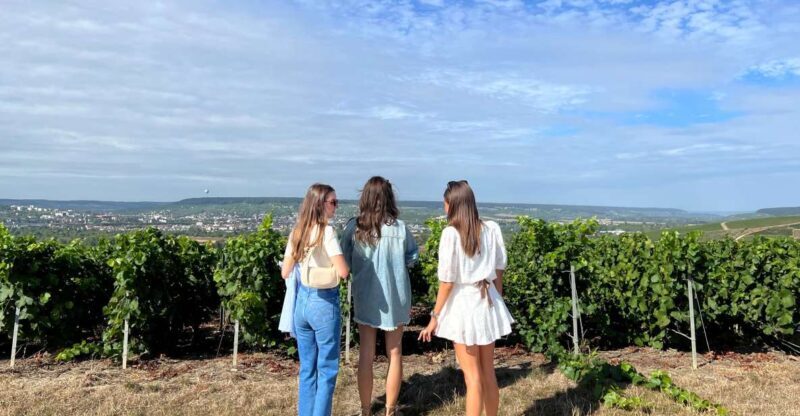 From Reims/Epernay: The Connoisseurs Private Tour 9 tastings - Tasting Experiences: Beyond the Standard