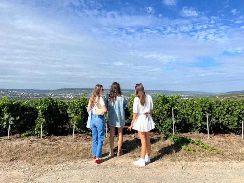 From Reims/Epernay: UNESCO Sites & Champagne Private Tour - Who Is This Tour Best Suited For?