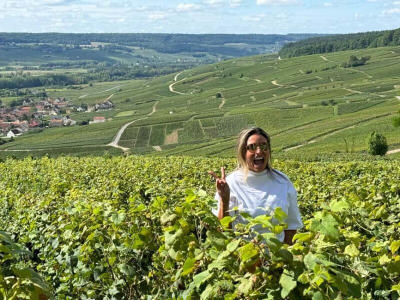 From Reims/Epernay:The Connoisseurs Private Tour 9 tastings - The Sum Up: Is This Tour Worth It?