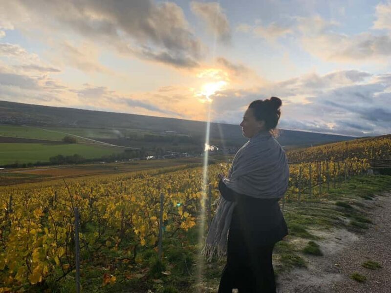 From Reims: Morning Champagne Tour and Tastings - What To Expect on the Tour