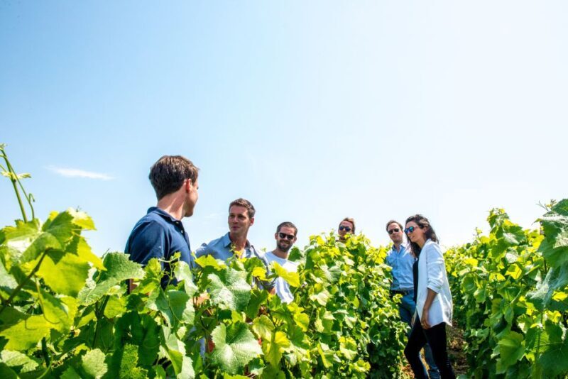 From Reims: Morning Champagne Tour and Tastings - FAQ