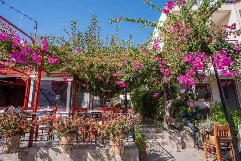 From Rethymno: Argyroupoli, Lake Kournas, Georgioupoli Tour - Why This Tour Delivers Value