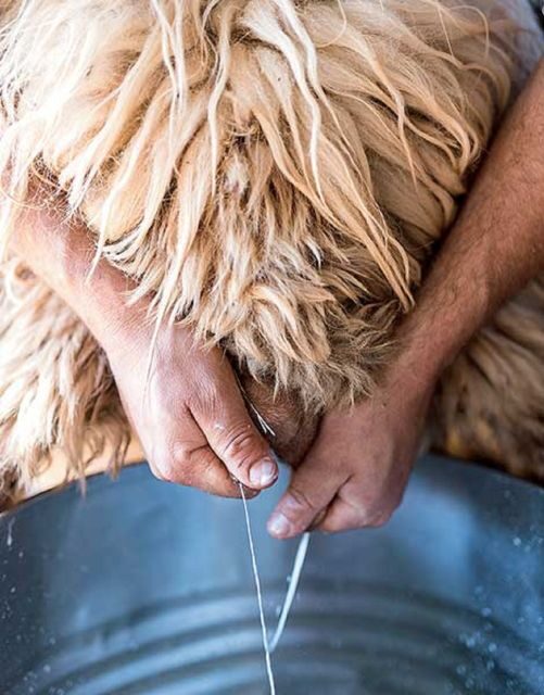 From Rethymno: Arkadi, Margarites, Sfendoni Cave, and Axos - Key Points