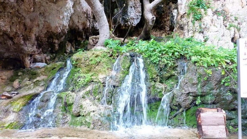 From Rethymno: Cretan Stories - A Deep Dive into the Cretan Journey