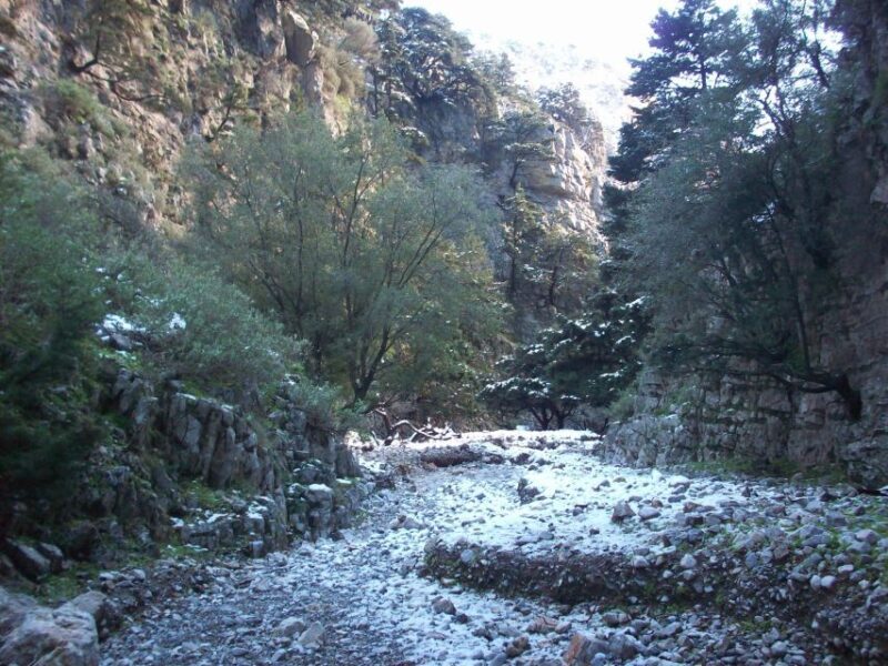 From Rethymno: Imbros Gorge & Libyan Guided Sea Tour - A Traditional Crete Lunch