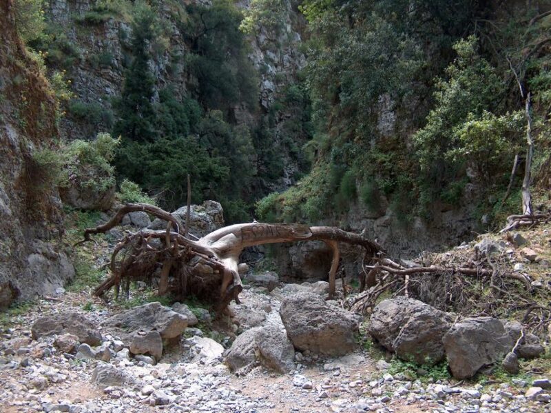 From Rethymno: Imbros Gorge & Libyan Guided Sea Tour - FAQ