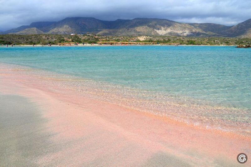 From Rethymno/Kavros: Elafonisi Island Pink Sand Beach Tour - Key Points