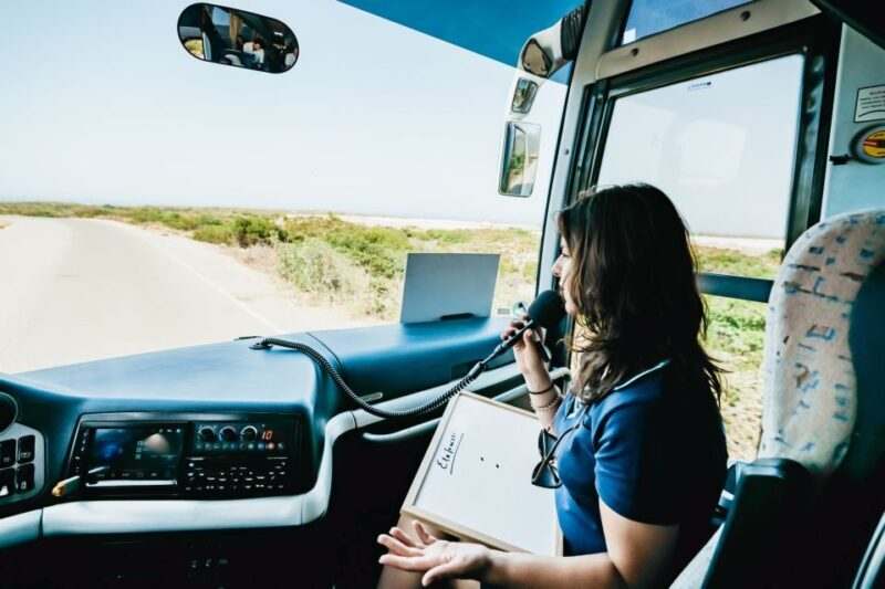 From Rethymno/Kavros: Elafonissi Pink Sand Beach Tour - Who Will Love This Tour?