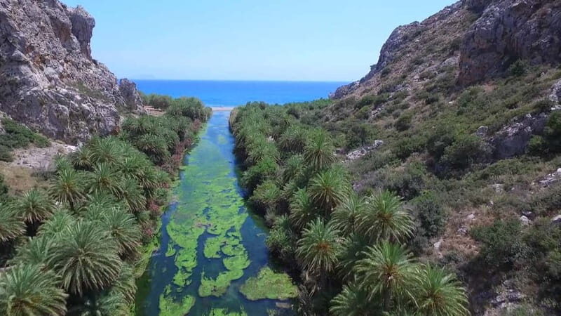 From Rethymno: Preveli Palm Forest, Damnoni and Plakias Tour - An In-Depth Look at the Tour