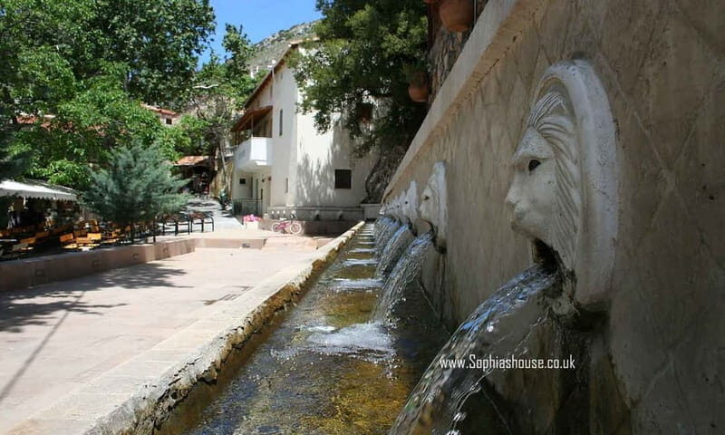 From Rethymno: Preveli Palm Forest, Damnoni and Plakias Tour - Authentic Experiences and What You’ll Remember