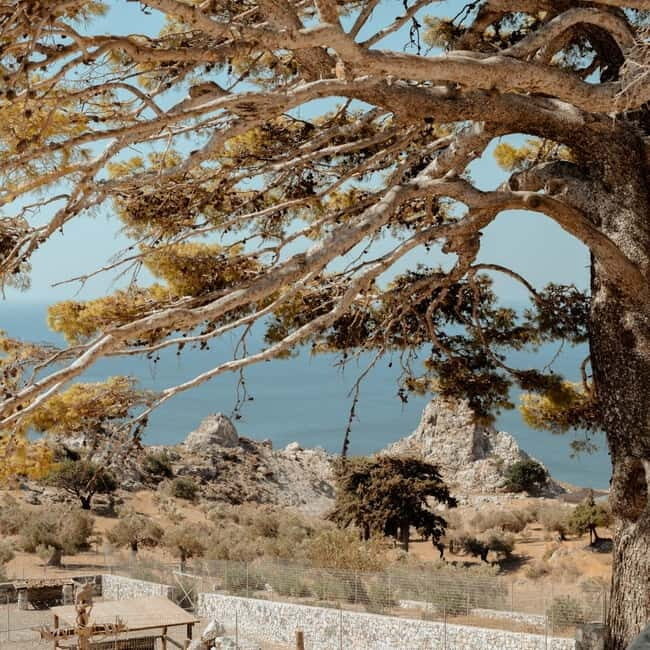 From Rethymno: South Crete Highlights Day Tour - Who Should Consider This Tour?