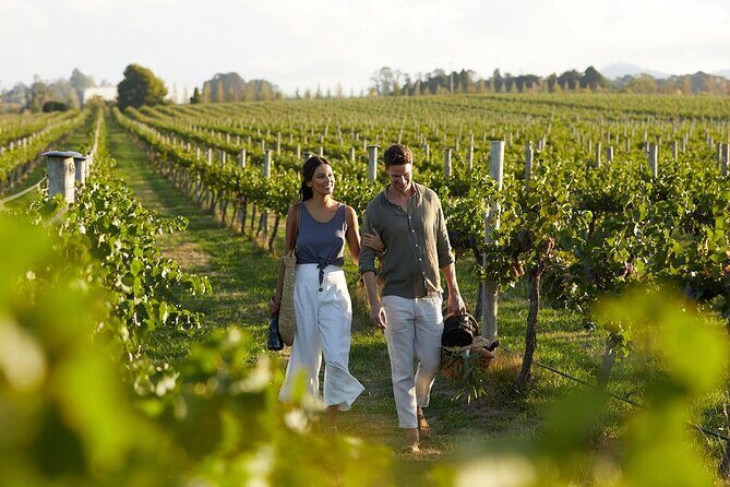 From Rethymno Visit of Knossos & Winery with tastings & Lunch - A Closer Look at the Itinerary