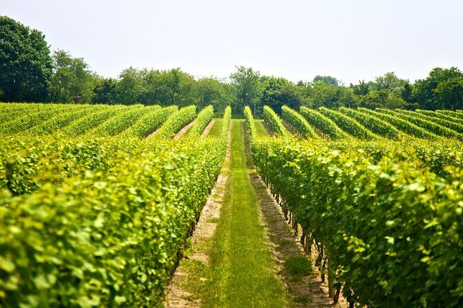 From Rethymno Visit of Knossos & Winery with tastings & Lunch - FAQ