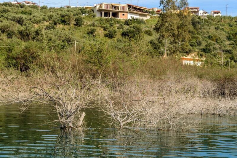 From Rethymnon: Chania and Lake Kournas Day Tour - FAQ