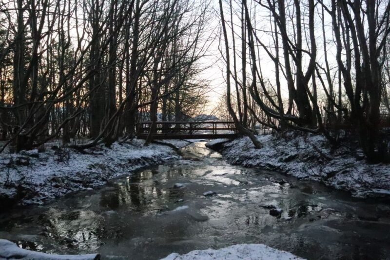 From Reykjavik: Explore the Waterfalls of the South Coast - FAQ