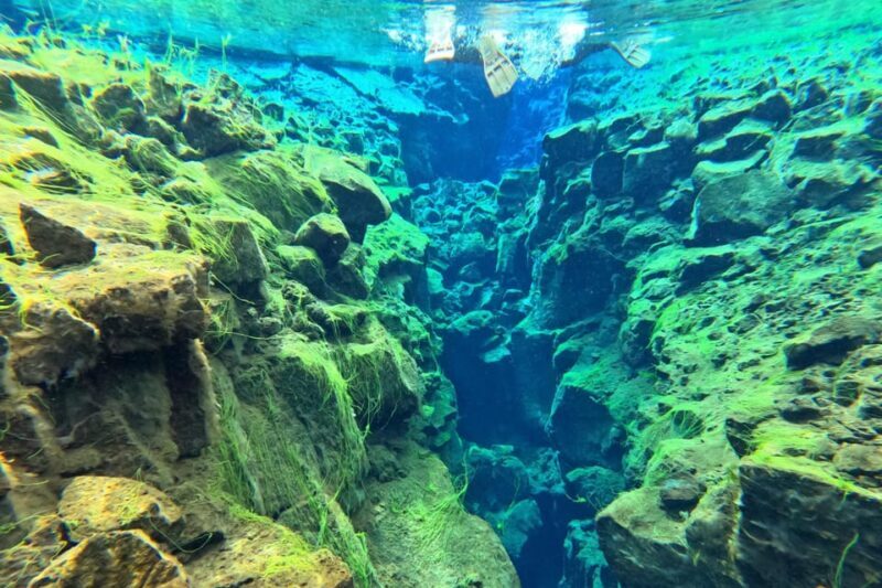 From Reykjavík: Golden Circle Tour and Silfra Snorkeling - Final Verdict
