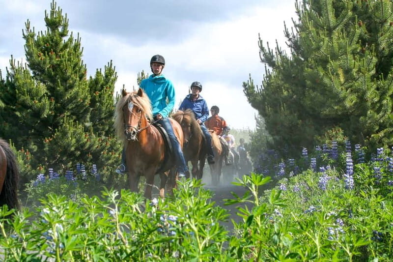 From Reykjavík: Icelandic Horse Riding Tour in Lava Fields - Key Points