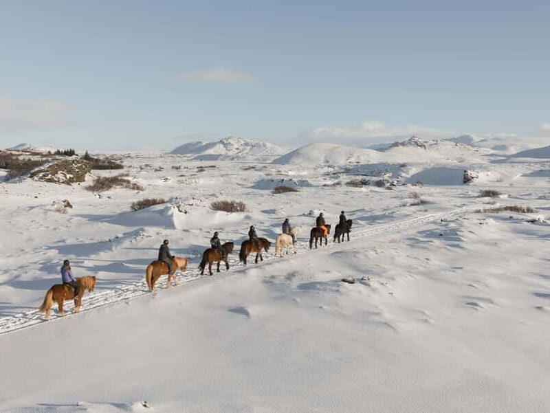 From Reykjavík: Icelandic Horse Riding Tour in Lava Fields - Authentic Experiences from Past Riders