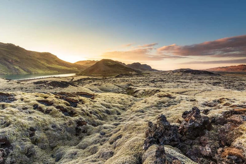 From Reykjavík: Icelandic Horse Riding Tour in Lava Fields - The Sum Up