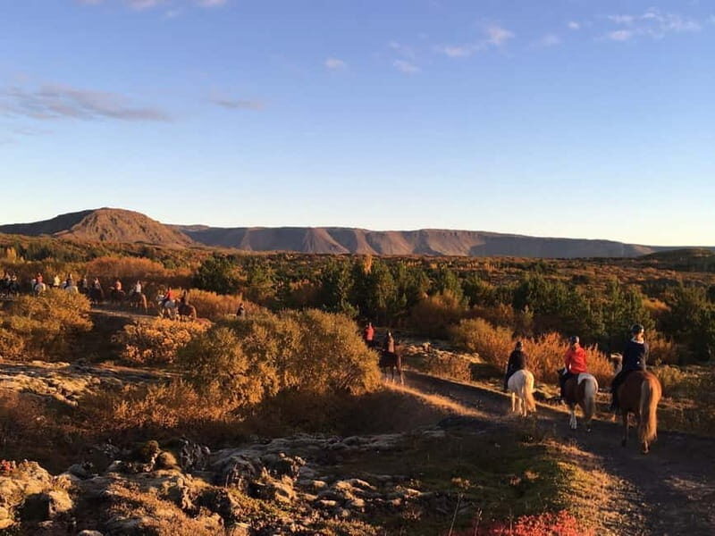From Reykjavík: Icelandic Horse Riding Tour in Lava Fields - FAQ