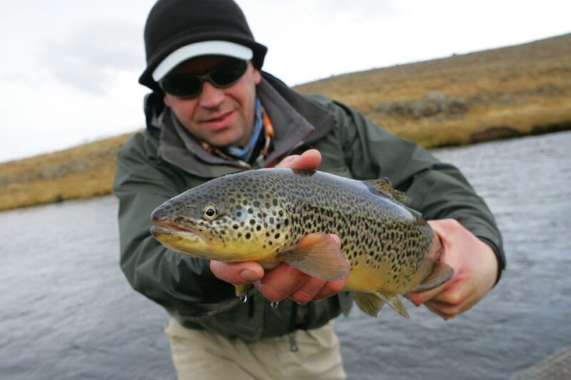 From Reykjavik: Lake and River Fishing Tour - Key Points