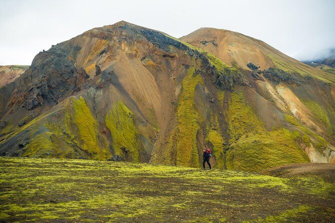 From Reykjavík: Landmannalaugar Hiking Day Tour - Final Thoughts: Who Will Love This Tour?