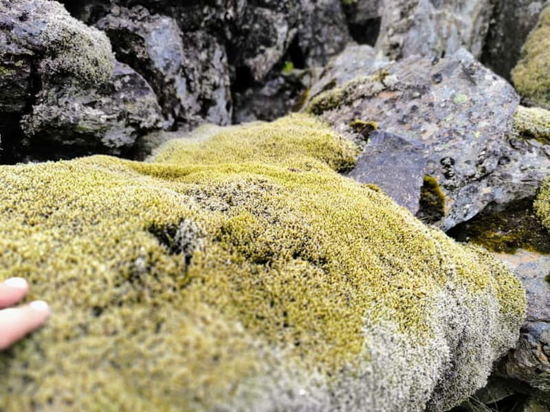 From Reykjavik: Landmannalaugar Private Tour with Transfer - FAQ